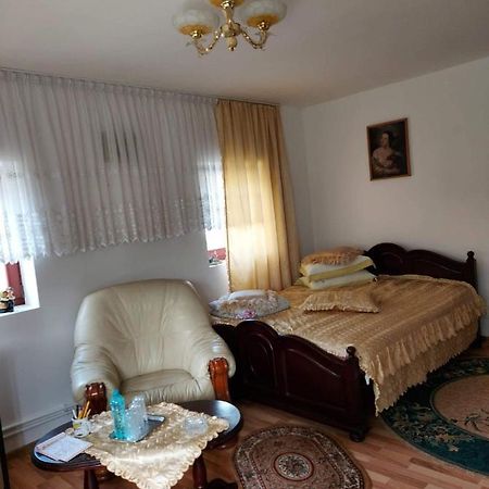 Apartmán Casa Rodica Vatra Dornei Exteriér fotografie
