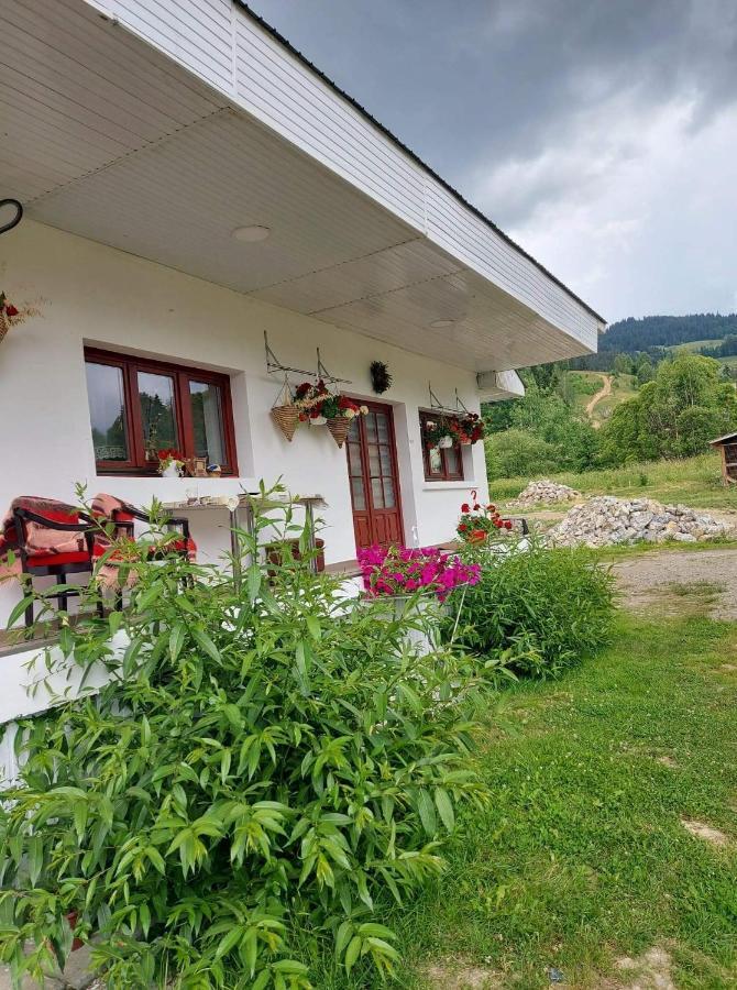 Apartmán Casa Rodica Vatra Dornei Exteriér fotografie