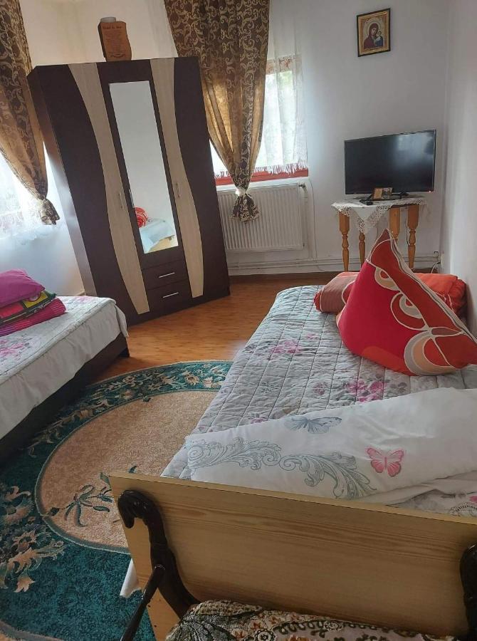 Apartmán Casa Rodica Vatra Dornei Exteriér fotografie