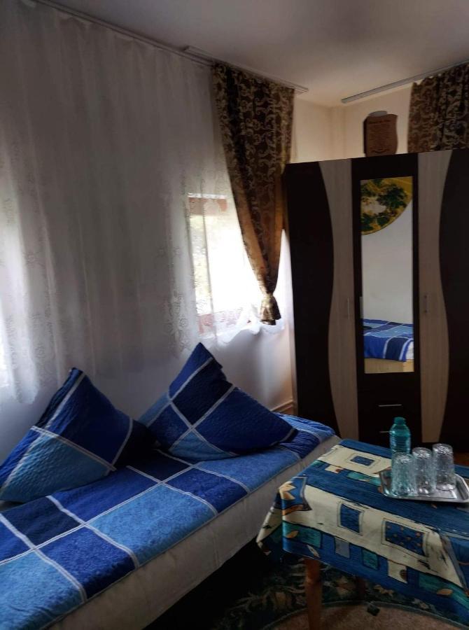 Apartmán Casa Rodica Vatra Dornei Exteriér fotografie