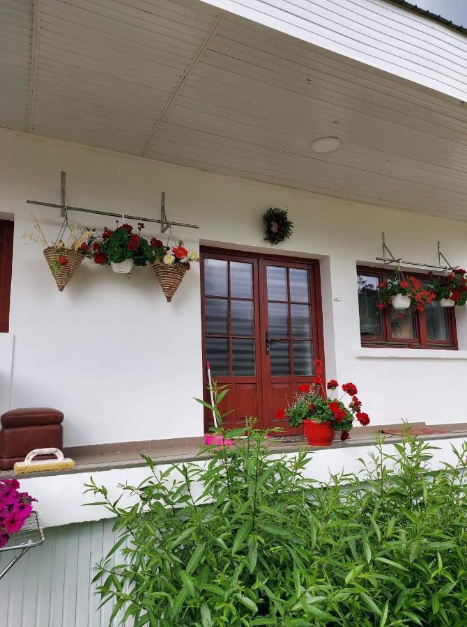 Apartmán Casa Rodica Vatra Dornei Exteriér fotografie