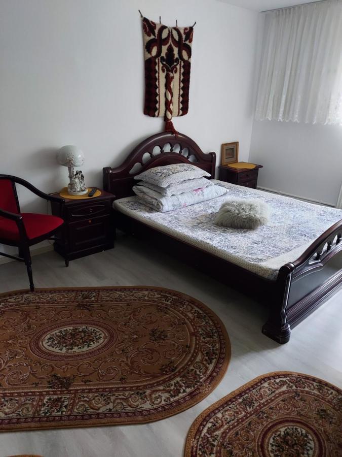 Apartmán Casa Rodica Vatra Dornei Exteriér fotografie